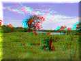 Canal - 29/03/2007 - 12:47 Canal - 29/03/2007 - 12:47