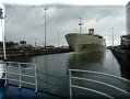 Panamá - Croisière sur le Canal - 07/04/2007 - 16:26 - Dans l'écluse de Gatun.