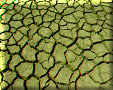 Parque Nacional Sarigua - 11/04/2007 - 14:07 Parque Nacional Sarigua - 11/04/2007 - 14:07