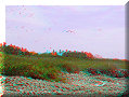 Isla Iguana - 14/04/2007 - 11:53 Isla Iguana - 14/04/2007 - 11:53