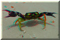 Isla Iguana - 14/04/2007 - 12:43 Isla Iguana - 14/04/2007 - 12:43