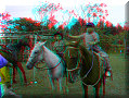 Santa Fe - 15/04/2007 - 17:58 Santa Fe - 15/04/2007 - 17:58