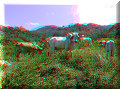 Santa Fe - 17/04/2007 - 13:51 Santa Fe - 17/04/2007 - 13:51
