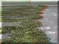 Boquete - 20/04/2007 - 10:15 Boquete - 20/04/2007 - 10:15