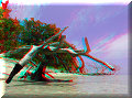 Bocas del Toro - 23/04/2007 - 12:30