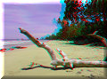 Bocas del Toro - 24/04/2007 - 12:22