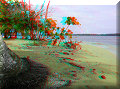 Bocas del Toro - 25/04/2007 - 10:06