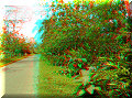Bocas del Toro - 25/04/2007 - 10:26