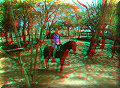 Cascade El Limon - 16/05/2009 - 13:54