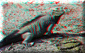 Lago Enriquillo - 30/05/2009 - 08:42 Lago Enriquillo - 30/05/2009 - 08:42