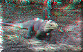 Lago Enriquillo - 30/05/2009 - 08:44 Lago Enriquillo - 30/05/2009 - 08:44