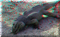 Lago Enriquillo - 30/05/2009 - 08:45 Lago Enriquillo - 30/05/2009 - 08:45