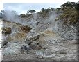 Volcans Costa Rica / Nicaragua - Miravalles - 17/05/2005 - 10:36