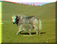 05/08/2008 - 09:44 05/08/2008 - 09:44