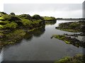 Islande - Lakagígar - 05/07/2006 - 16:47