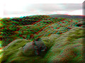 Mýrdalssandur - 06/07/2006 - 17:35 Mýrdalssandur - 06/07/2006 - 17:35