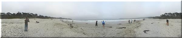 On the beach.