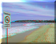 Manly Beach - 05/11/2012 - 13:56