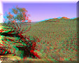 Kings Canyon - 09/11/2012 - 11:03 Kings Canyon - 09/11/2012 - 11:03