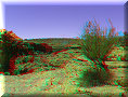 Kings Canyon - 09/11/2012 - 12:29 Kings Canyon - 09/11/2012 - 12:29