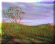 Site Éclipse - 12/11/2012 - 17:48 Site Éclipse - 12/11/2012 - 17:48