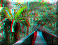 Kuranda - 13/11/2012 - 15:10 Kuranda - 13/11/2012 - 15:10