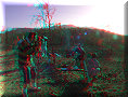 Site Éclipse - 14/11/2012 - 06:35 Site Éclipse - 14/11/2012 - 06:35