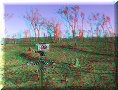 Site Éclipse - 14/11/2012 - 06:52 Site Éclipse - 14/11/2012 - 06:52