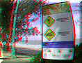 Palm Cove - 14/11/2012 - 15:13 Palm Cove - 14/11/2012 - 15:13