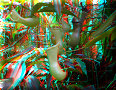 Cairns - 15/11/2012 - 12:53 Cairns - 15/11/2012 - 12:53