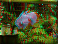 Cairns - 15/11/2012 - 12:54 Cairns - 15/11/2012 - 12:54