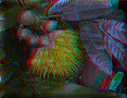 Cairns - 15/11/2012 - 12:59 Cairns - 15/11/2012 - 12:59