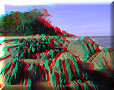 Palm Cove - 15/11/2012 - 16:41 Palm Cove - 15/11/2012 - 16:41