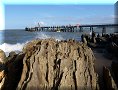 Australie - Palm Cove - 15/11/2012 - 16:45